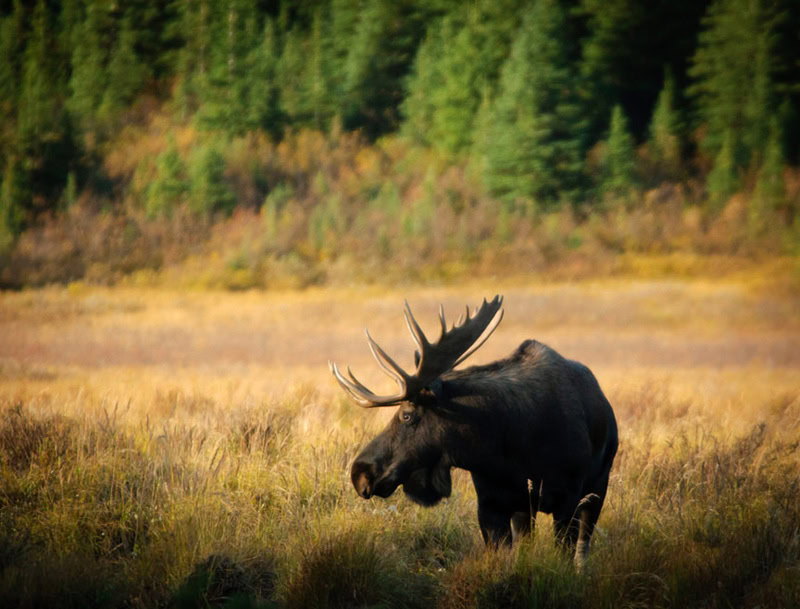 Best Books: Discover Alaska and the Yukon