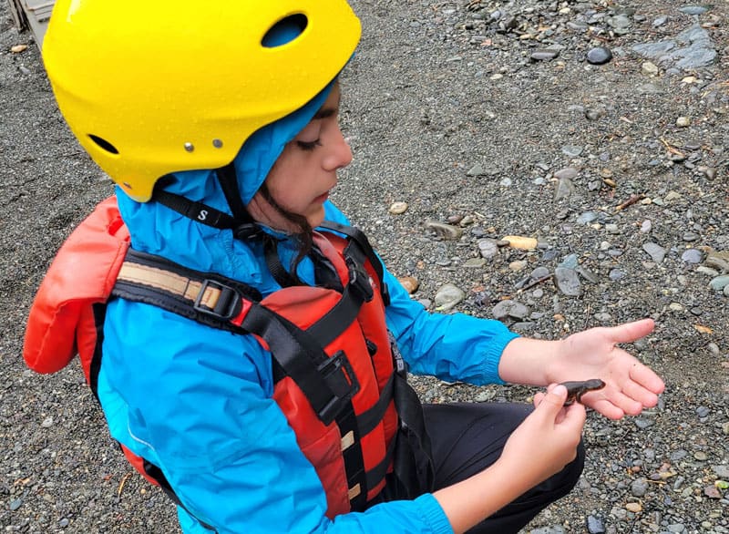 A young girl holds a newt she found on a family rafting trip 