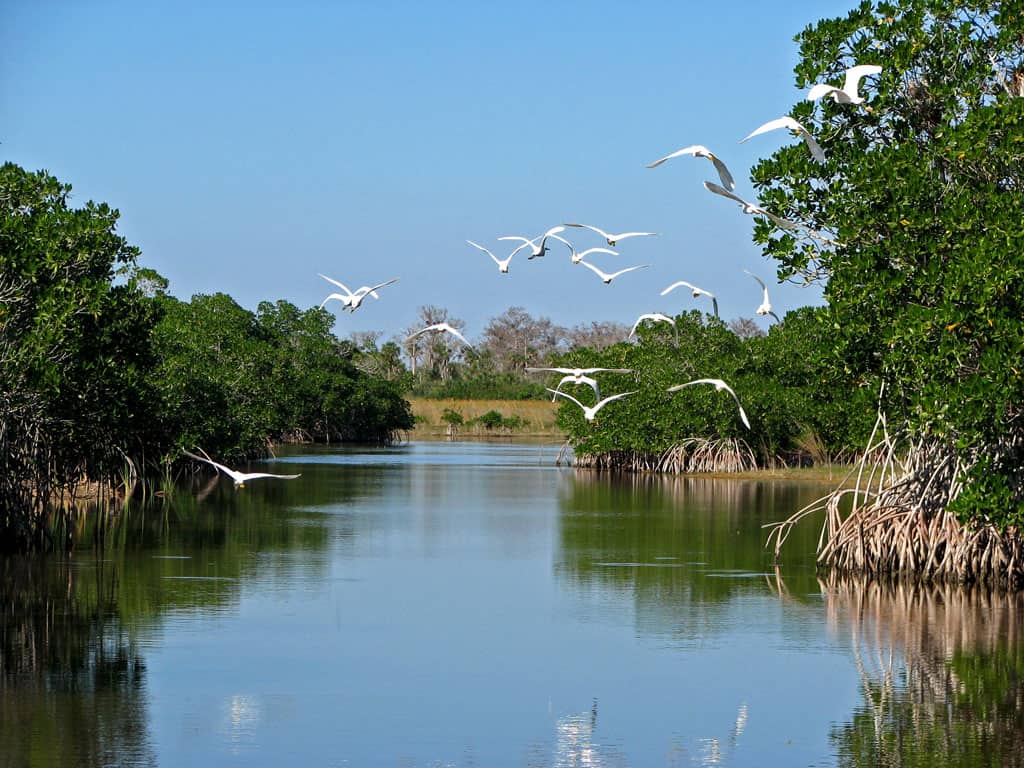 11 Incredible National Park Paddling Spots 