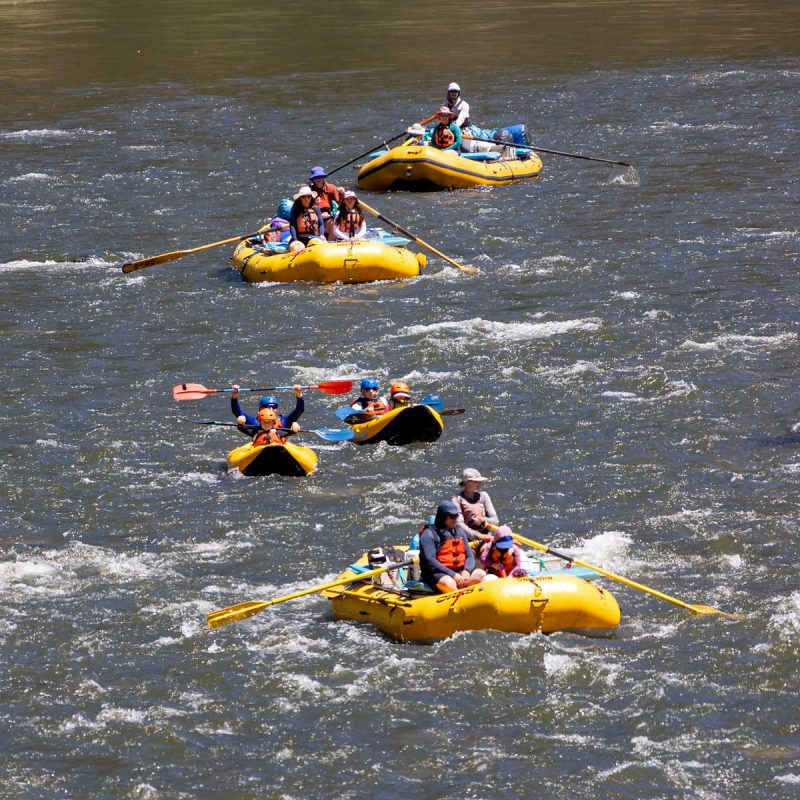 Rafts and inflatable kayaks on a Class I section of the Lower Klamath River